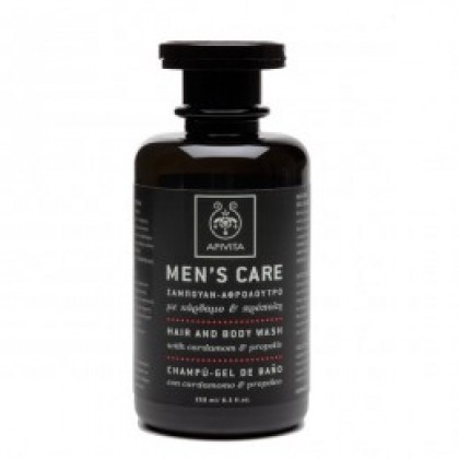 APIVITA MEN CARE SHAMPΟΟ+ΑΦΡΟΛ 