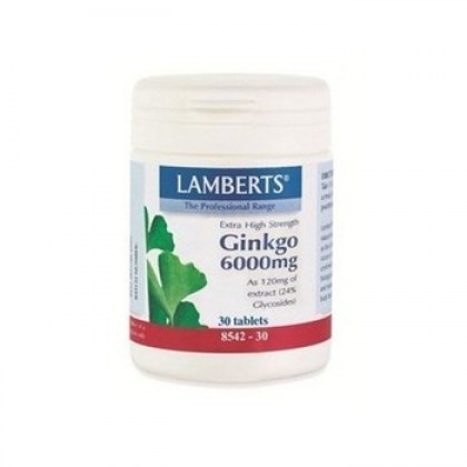 LAMBERTS Ginkgo Biloba Extract 6000mg 30 Ταμπλέτες