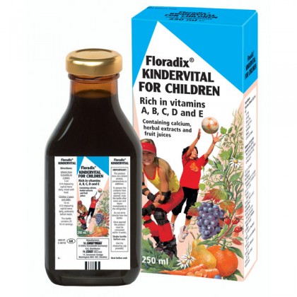 POWER HEALTH Floradix KinderVital Child 250ML