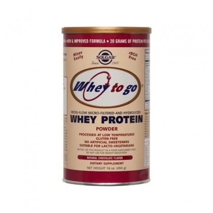 SOLGAR Whey To Go Protein Chocolate Powder 454gr